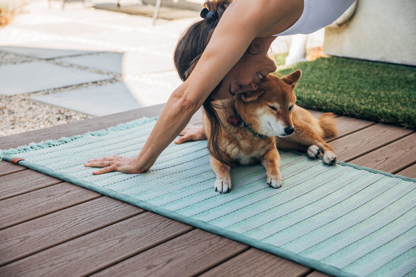 practicing yoga with pets